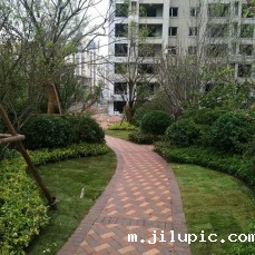 米兰国际彩票真的假的?