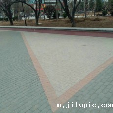 米兰国际彩票真的假的?