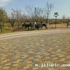 米兰国际彩票真的假的?