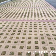 米兰国际彩票真的假的?