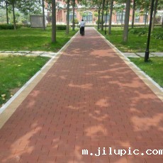 米兰国际彩票真的假的?