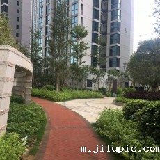 米兰国际彩票真的假的?